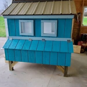 Raising Chickens & Building a Coop: Awesome Homeschool Project #1 3