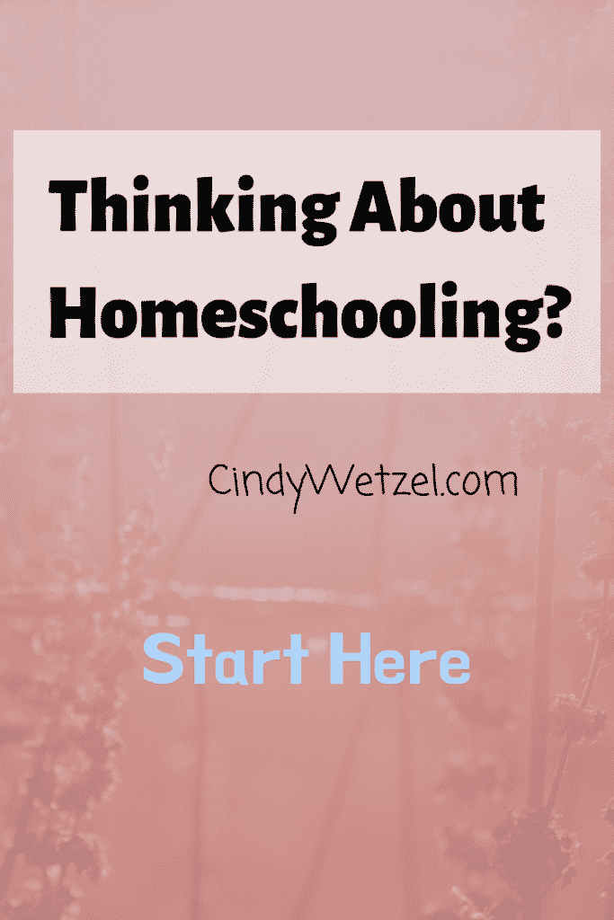 Thinking About Homeschooling