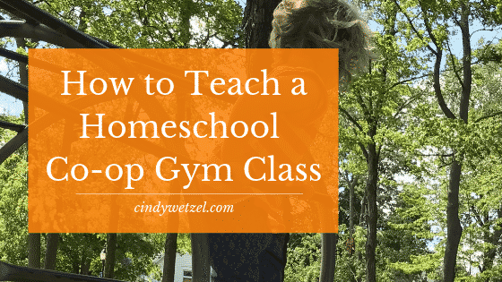 Teach Homeschool Gym Co-op