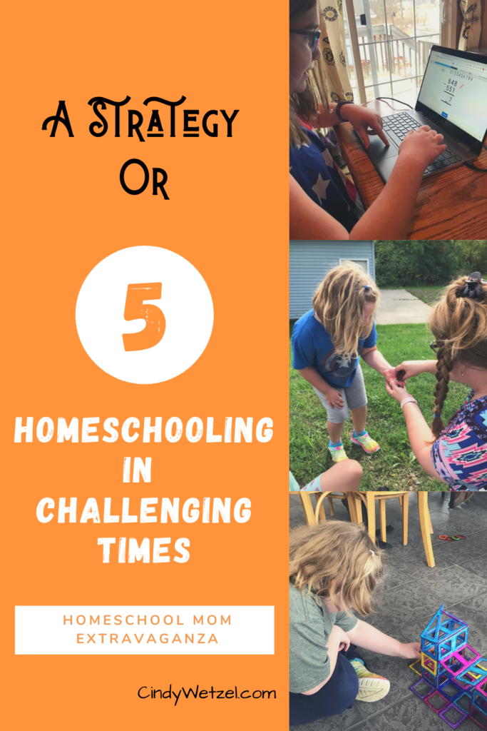 Title: A strategy or five for homeschoolin in challenging times