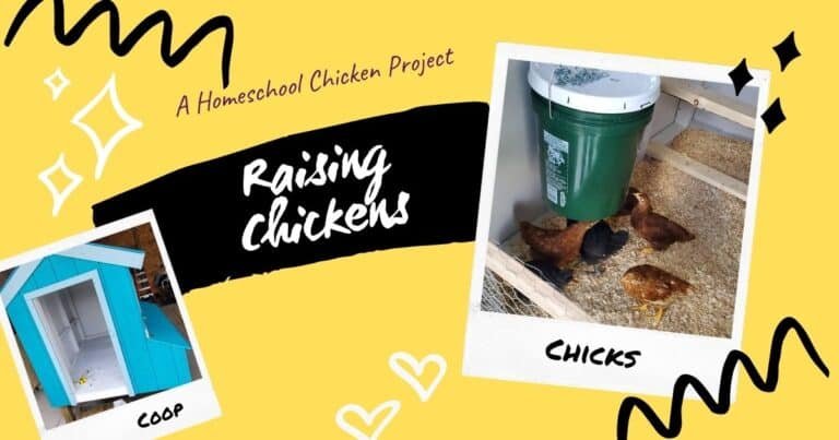 Raising Chickens & Building a Coop: Awesome Homeschool Project #1